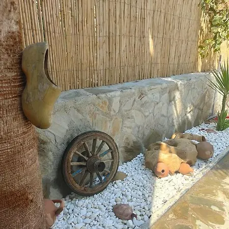 Willa Sunny In Kale Ici 7 Persoons